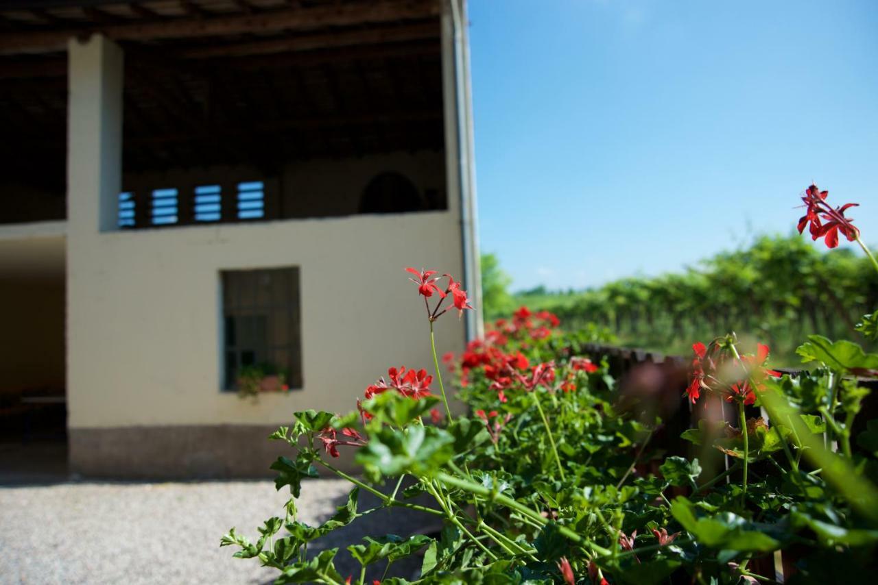 Agriturismo Albarello Sona Exterior foto